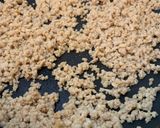 お弁当用3色丼作り方2写真