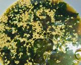 おれの焼肉のたれで超簡単わかめスープ！作り方9写真