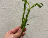春菊とチーズのオリーブオイル焼き作り方1写真