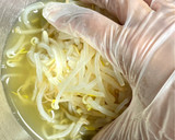 ボイルもやしの簡単！！昆布だし和え作り方6写真