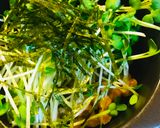 毎日の納豆●カイワレ大根たっぷり盛り作り方1写真
