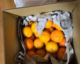 身知らず柿　シブ抜き作り方1写真