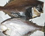 【北海道釧路から🦊】カレイの美しい食べ方🐟️浜っ子作り方1写真