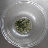 プチプチ楽しい♪とうもろこし海苔塩唐揚げ作り方4写真