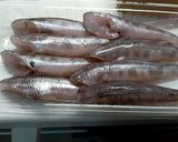 メヒカリ(塩焼き)で南蛮漬け作り方1写真