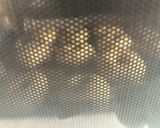 お芋ベーグル作り方8写真