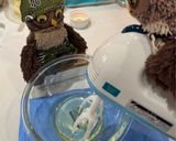 お家でふわふわパンケーキ作り方3写真