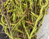 丹波の黒豆　茹で方作り方1写真