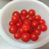 夏に☆ズッキーニなすプチトマトの南蛮漬け作り方3写真