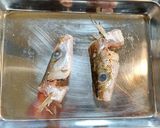 カマスのお吸い物 バーナー処理作り方2写真