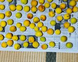 冷凍南高梅〜ラム酒で作る濃厚梅酒作り方4写真
