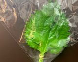 【冷蔵】1番簡単！しそ（大葉）の保存方法作り方1写真