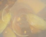 焼かないハンバーグライス作り方5写真