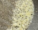 バター風味で甘めのピーマン肉炒め作り方4写真