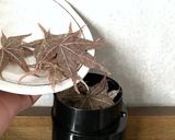 イロハモミジふりかけ作り方4写真