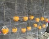 カビない干し柿 追記あり作り方5写真