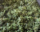 大量消費　大葉（シソ）の佃煮作り方2写真
