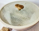 【ジッパー袋で簡単】無添加ソーセージ作り方9写真