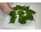 大葉鰹のふりかけ★動画あり★作り方5写真