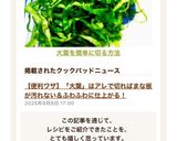 大葉を簡単に切る方法作り方35写真