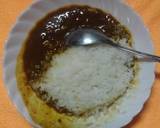 素カレー：ラーメン、うどん、ライス、他作り方9写真