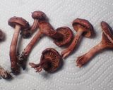 ヒメサクラシメジとキャベツのゴマみそ炒め作り方1写真