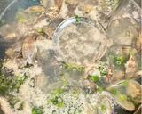 アサリの酒蒸しスープ作り方3写真