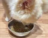 水分補給に！愛犬用超簡単うまみスープ作り方6写真