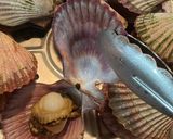 あっぱ貝（ひおうぎがい）蒸し〜味噌風味〜作り方6写真