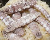 宮城のしゃこ飯作り方4写真
