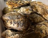 殻付き 牡蠣の酒蒸し🦪作り方1写真