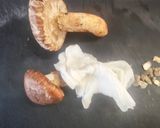 絶品🍄‍🟫✨️昆布だしで作る松茸ご飯🍚作り方4写真