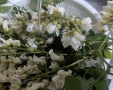 ニセアカシアの花の天ぷら作り方2写真
