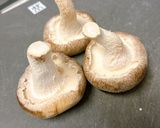 トースターで♪しいたけのキムチチーズ焼き作り方1写真