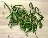 イカの塩辛☆柚子胡椒☆納豆麹の冷製パスタ作り方4写真