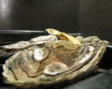 牡蠣に付着したナミマガシワ作り方3写真