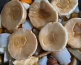 材料切って煮るだけ 煮物作り方4写真