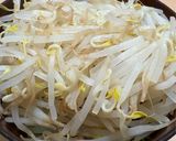 一人暮らしヘルシースタミナ白だし麺作り方5写真