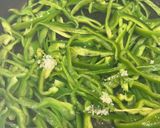 ご飯泥棒！ピーマンの鰹節甘辛炒め作り方2写真