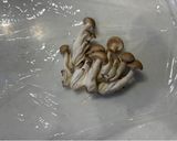 【時短】パラパラ具だくさんチャーハン作り方3写真
