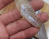 魚 鱚 刺身 キスのさばき方と昆布酒締め作り方10写真