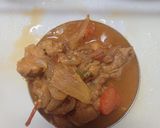 酸味4種比較チキンカレー作り方20写真