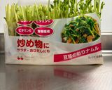 豆苗の受け皿作り方1写真