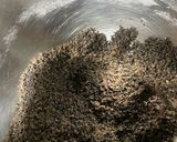 コーヒーの搾りかすと胡麻のクッキー作り方5写真