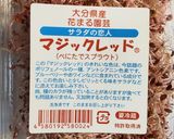 ビーツと人参のチーズヨーグルトトースト作り方8写真