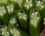 おくらの塩サラダ作り方1写真