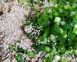 五目おから煮物*リメイクでサラダ卯の花作り方8写真
