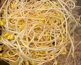 節約＊豆もやしと豆腐の中華そぼろ煮作り方4写真