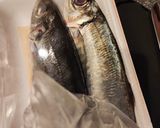 鯵のタタキ(猫様と人間用)作り方1写真