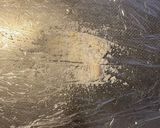 自家製パンチェッタ作り方1写真